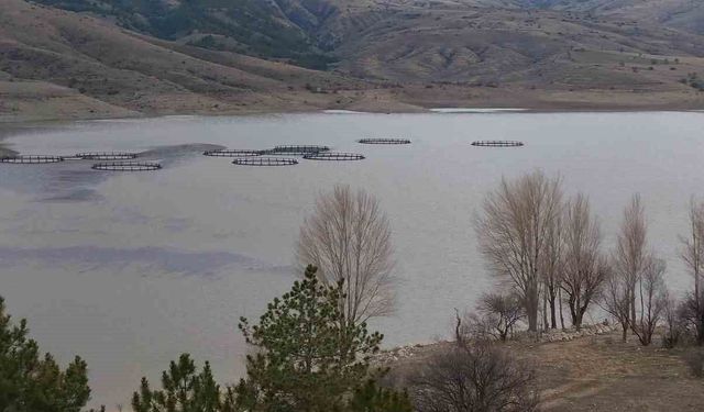 Kurumaya yüz tutan barajda doluluk oranı yüzde 50 seviyelerine yaklaştı