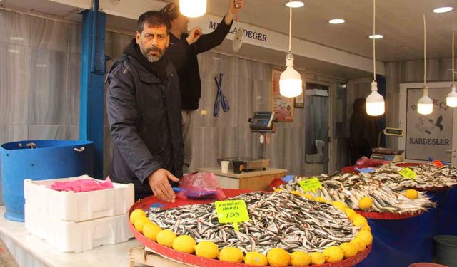 Menteşe pazarında hamsi ucuzladı
