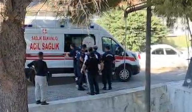 Milas'ta tefecilik soruşturmasındaki iddialar dikkat çekti: 4 tutuklama