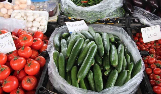 Seralar zarar gördü, Muğla'da salatalık rekor fiyata ulaştı