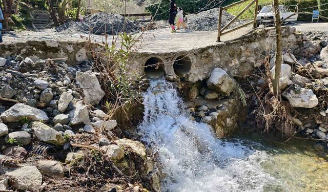 Mesir Tabiat Parkı'na ziyaretçi akını