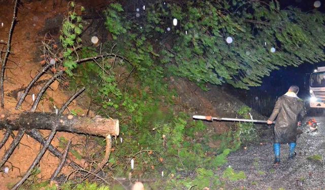 Yağış ağaçları devirdi, yol kısa sürede açıldı