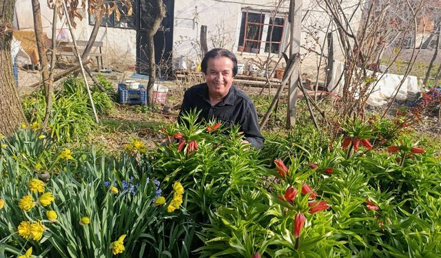 KÜTAHYA SİMAV’DA 20 GÜNLÜK TERS LALE GÖRSEL ŞÖLENİ BAŞLADI