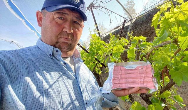 Sarıgöl Ovası'nda üzüm bağlarında 'Fenomen Tel' seferberliği