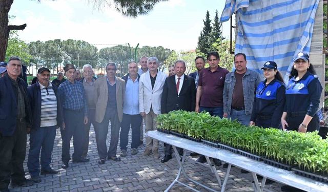 Salihlili üreticilere 34 bin sebze fidesi