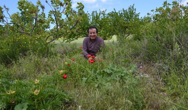 BU GÜZELLİK MANİSA’NIN GÖRDES İLÇESİ KIRANKÖY MAHALLESİNDE
