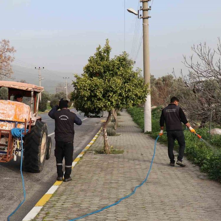 Bozdoğan'da yabani ot mücadelesi
