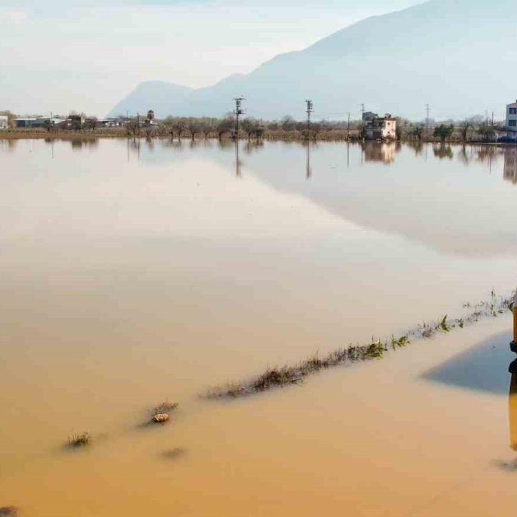 Manisa'da rekor yağışların bilançosu: 191 ihbar, 20 bin dekar su altında