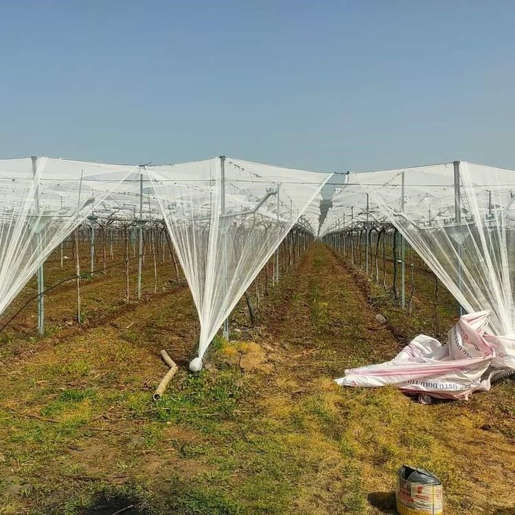 Dolu korkusuna fileli önlem