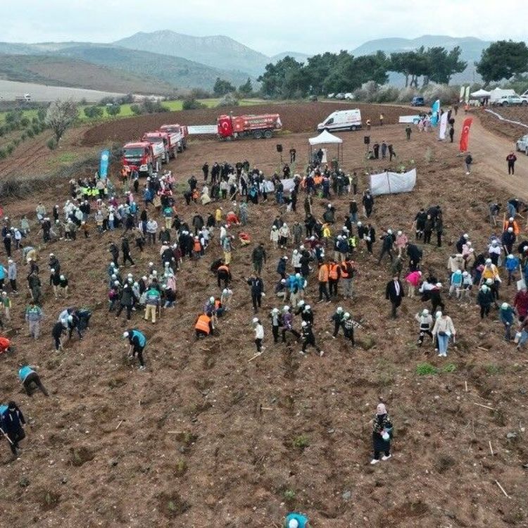 Manisa'da Orman Haftası'nda binlerce fidan toprakla buluştu