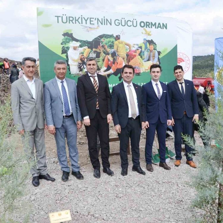 Manisa'da yanan alanlar yeniden yeşeriyor