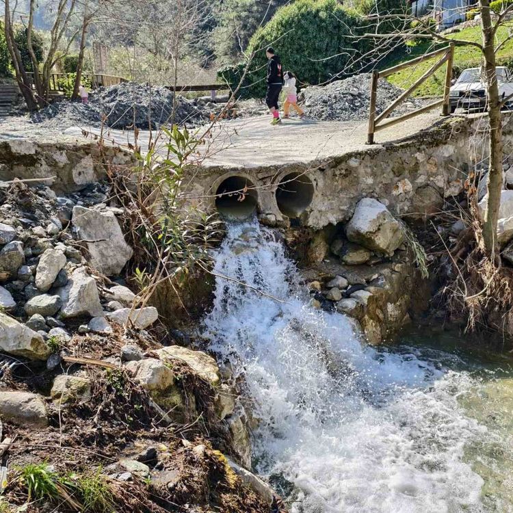 Mesir Tabiat Parkı'na ziyaretçi akını