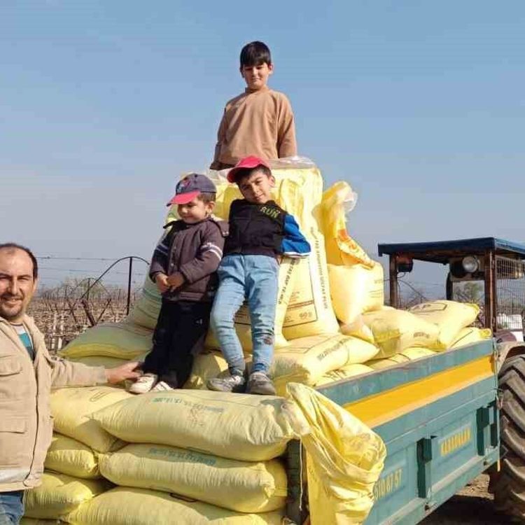 Sarıgöl bağlarında gübreleme çalışmaları başladı
