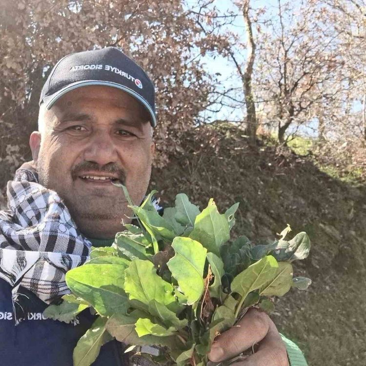 Sarıgöl'de baharın habercisi ekşi kulak tezgahlarda yerini aldı