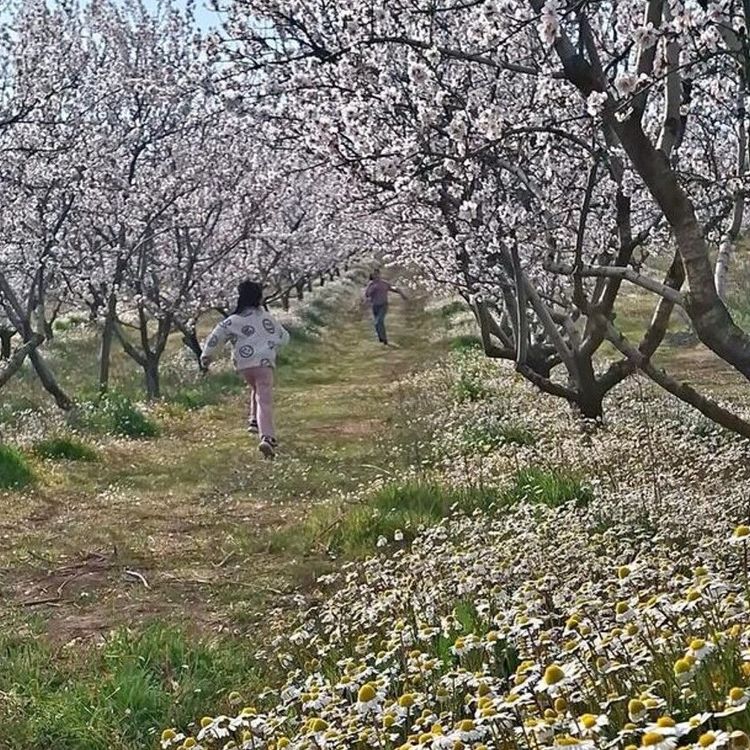Sarıgöl'de kartpostallık manzara