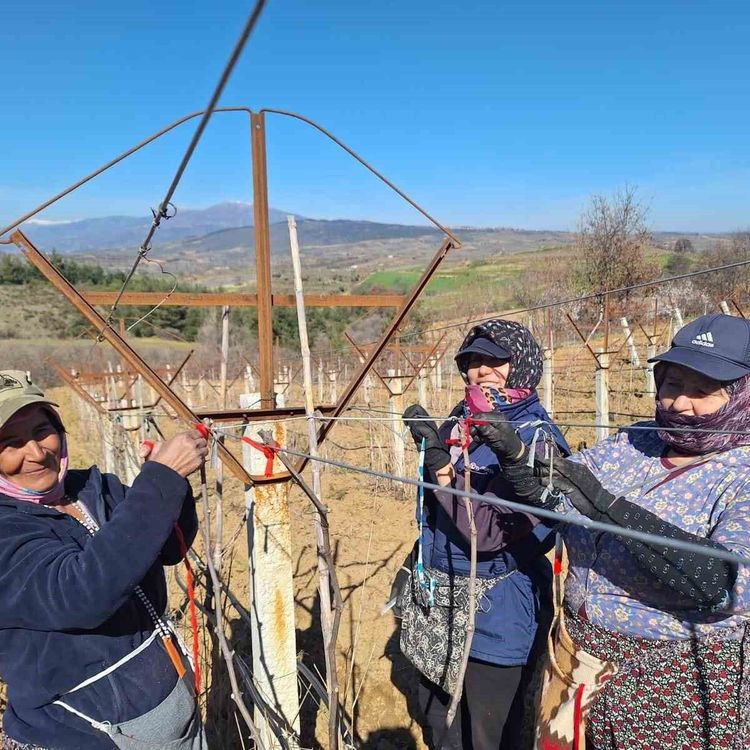 Sarıgöllü kadınlar 8 Mart'ı bağlarda çalışarak kutladı