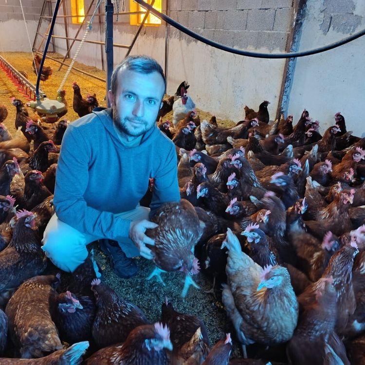 Ev Kiraları Yüzünden Şehirden Göç Ederek Gezen Tavuk Çiftliği Kurdu