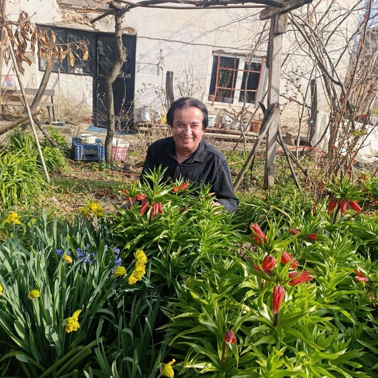 KÜTAHYA SİMAV’DA 20 GÜNLÜK TERS LALE GÖRSEL ŞÖLENİ BAŞLADI