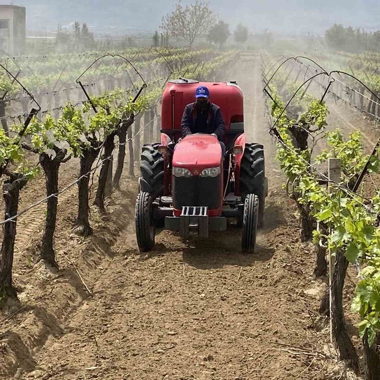 Alaşehir'de '3K Bağcılık' ile kalıntısız üretim başladı