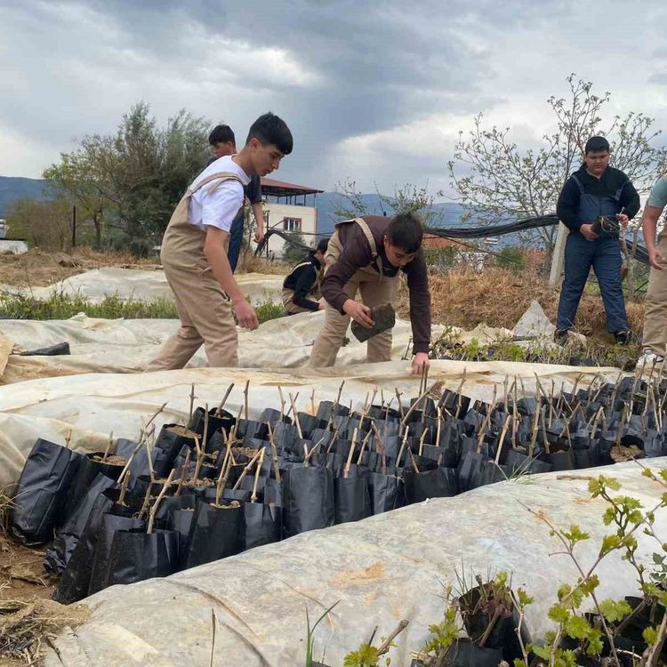 Liselilerden bölge tarımına büyük katkı