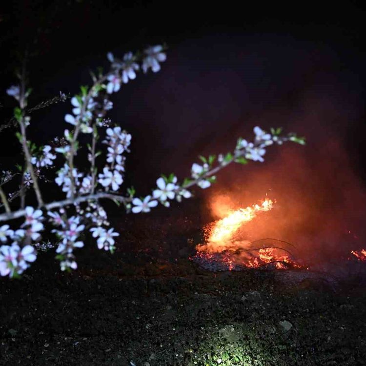 Manisa'da don nöbeti