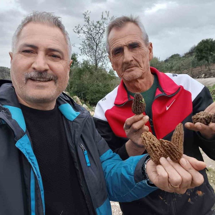 Manisa'da kuzugöbeği tutkusu engel tanımıyor