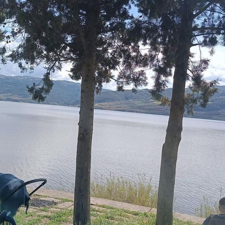 Sarıgöl Ovası'nda su sevinci