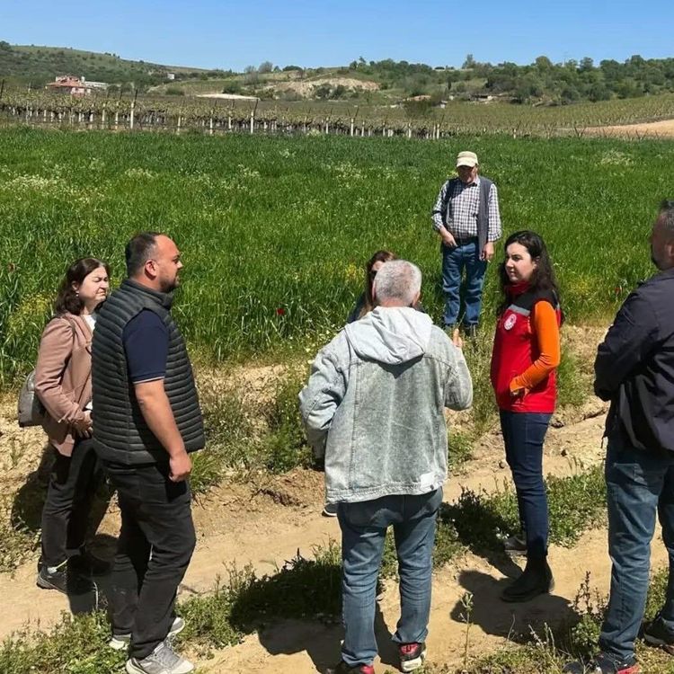 Sarıgöl'de incir hamlesi