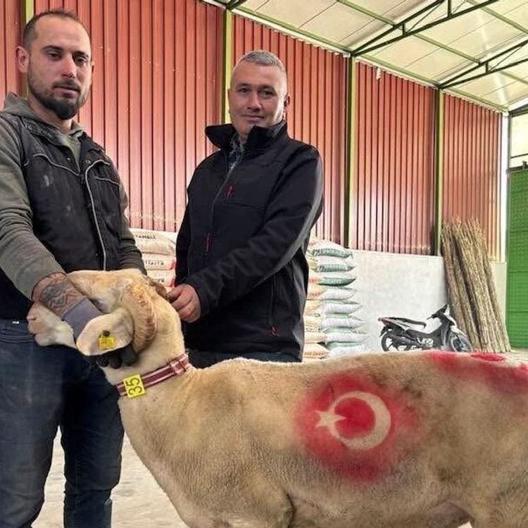 Sarıgöl'de kurbanlık pazarı hareketlendi