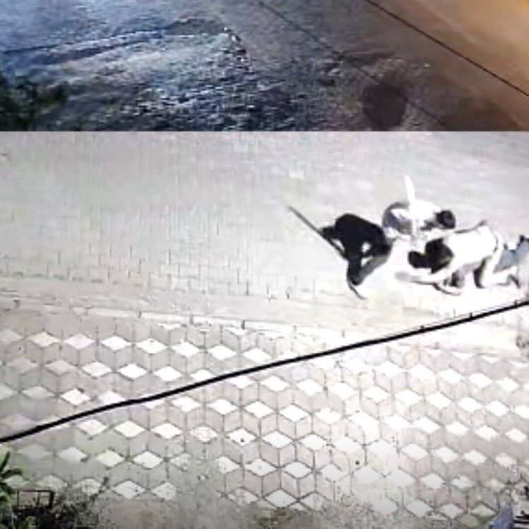 Manisa'da kız meselesi kavgası: 6 yerinden bıçaklandı