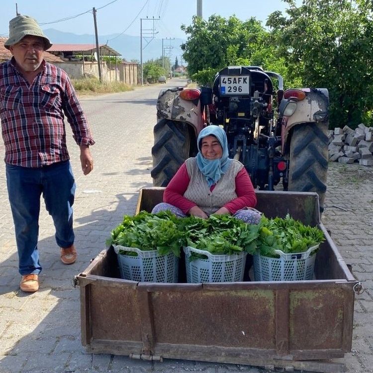 Üzümden önce yaprak kazandırdı