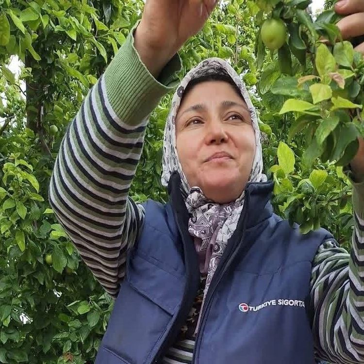 Yaz meyvelerinde bereket üreticinin yüzünü güldürdü