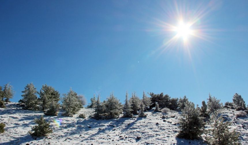 Spil Milli Parkı'ndan kar manzaraları