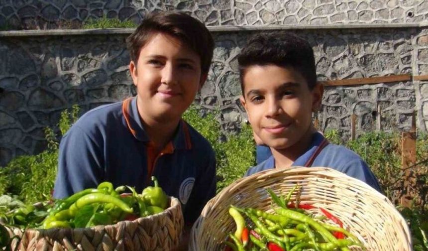 Minik eller, turşuyla büyük işlere imza atıyor