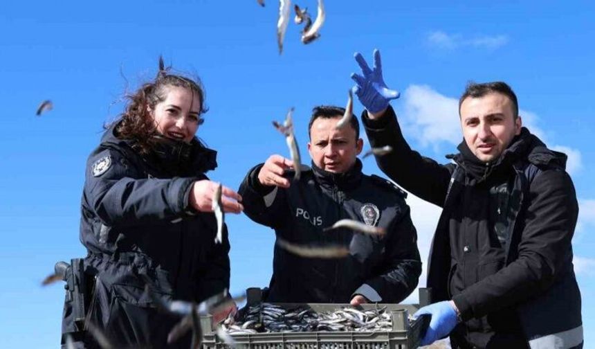 Doğu’nun gizli denizinde şefkat eli: Polis ekipleri martı ve tavşanları unutmadı