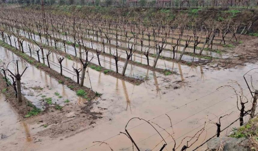 Sarıgöl’de bereketli yağmurlar yüzleri güldürdü