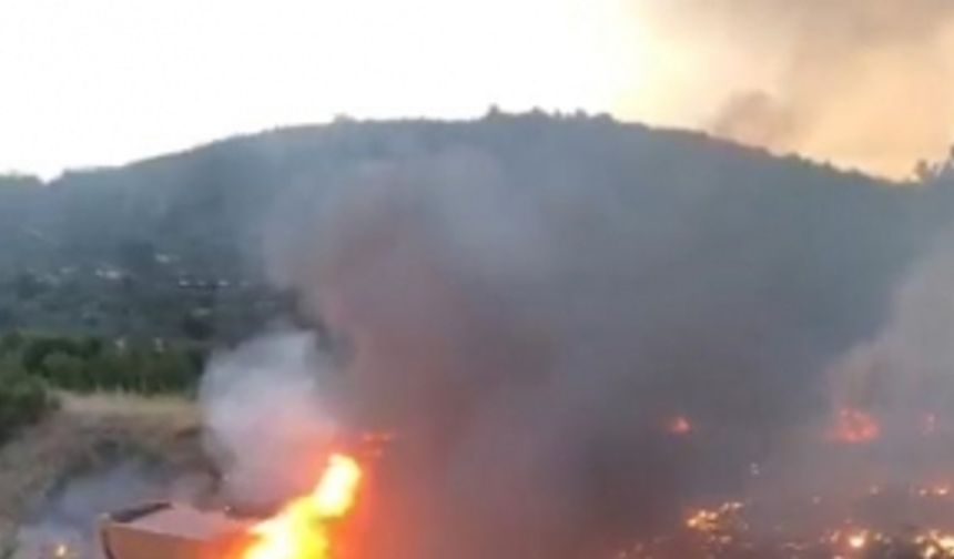 Gördes'te kamyonda çıkan yangın ormana sıçradı