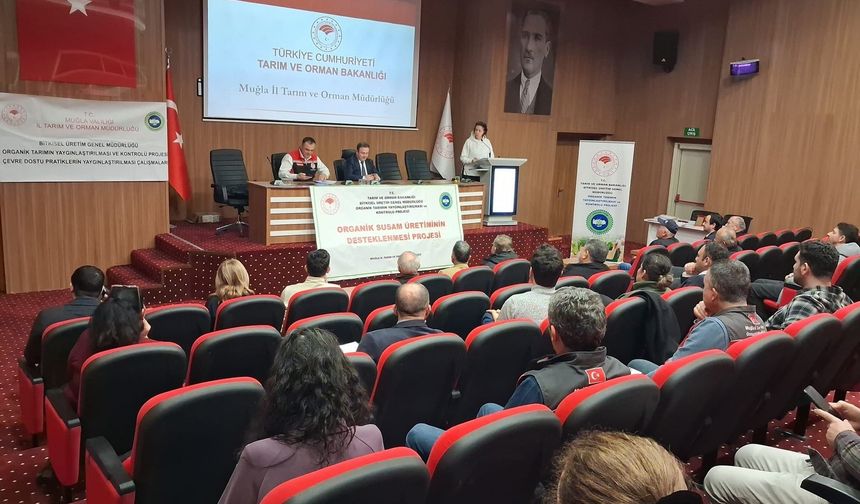 Gökova susamı için organik üretim masaya yatırıldı