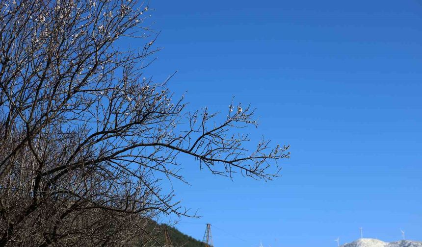 Muğla'da kış ve bahar aynı karede
