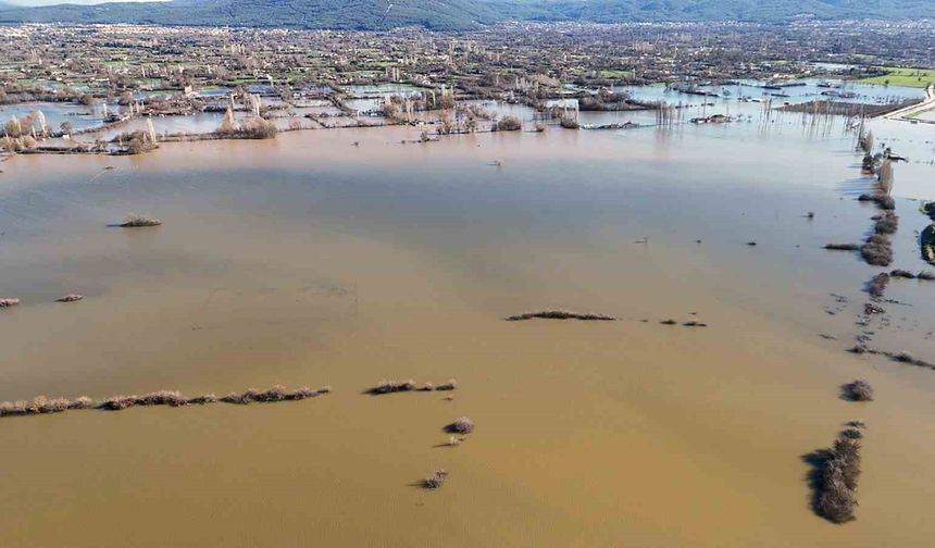 MUSKİ'den Karabağlar ovasında biriken su açıklaması: Her şey kontrolümüz altında