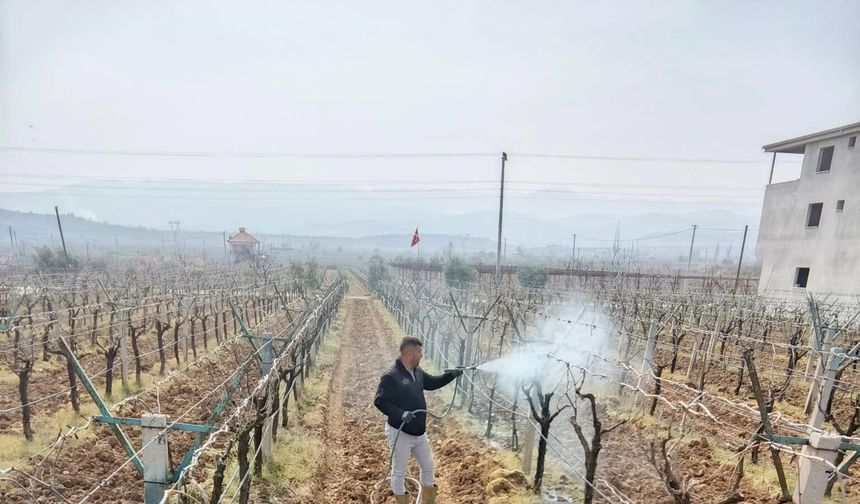 Sarıgöl'de ölü kol hastalığıyla mücadele başladı