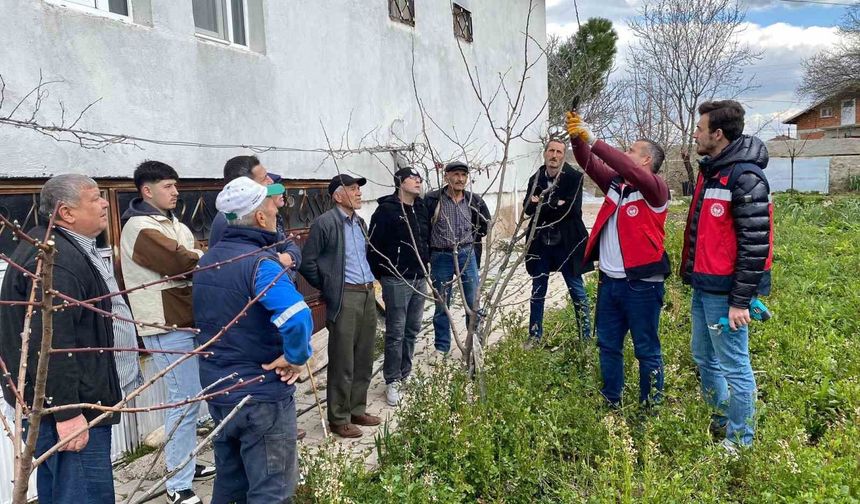 Tavşanlı'da meyve üreticilerine budama eğitimi