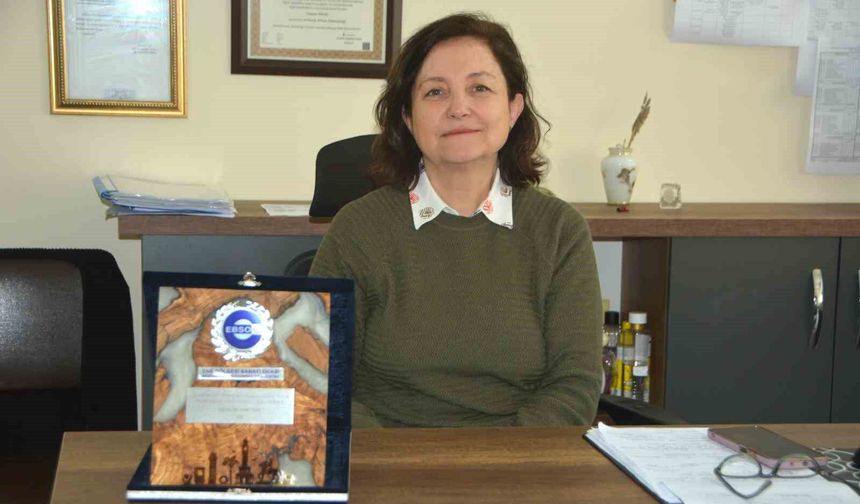 Egeli akademisyenin 'Zeolit' projesi yerli sanayiye güç katacak