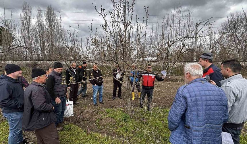 Kütahya'da meyve üreticilerine budama ve aşılama eğitimi