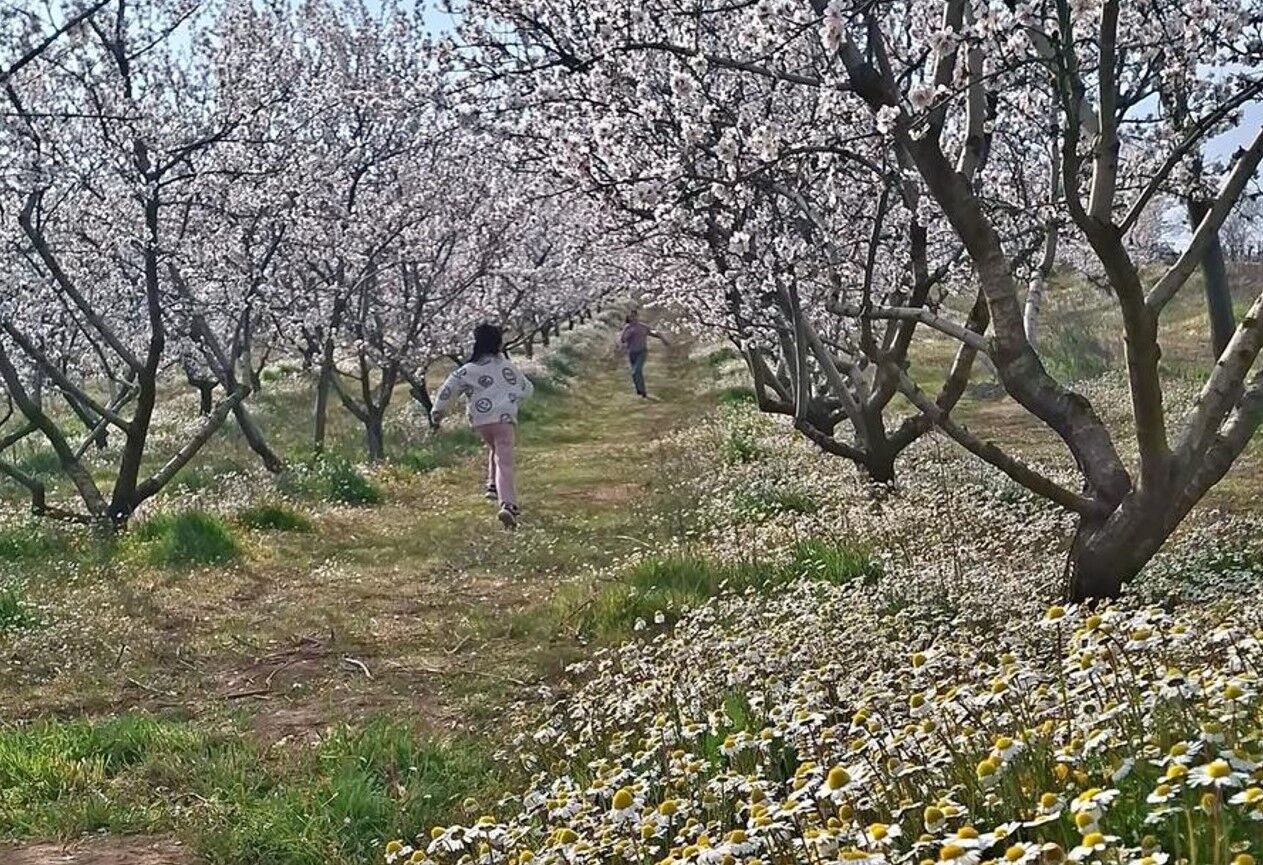 Sarıgöl'de kartpostallık manzara