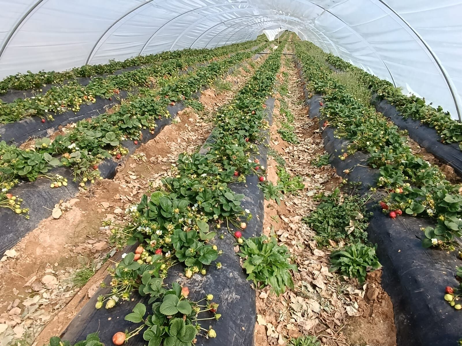 I M G 20260311 W A0167