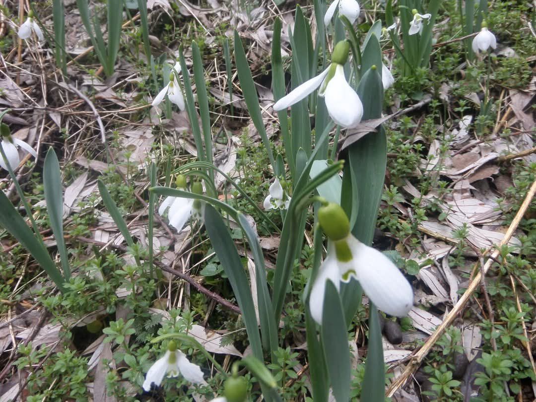 I M G 20260313 W A0047