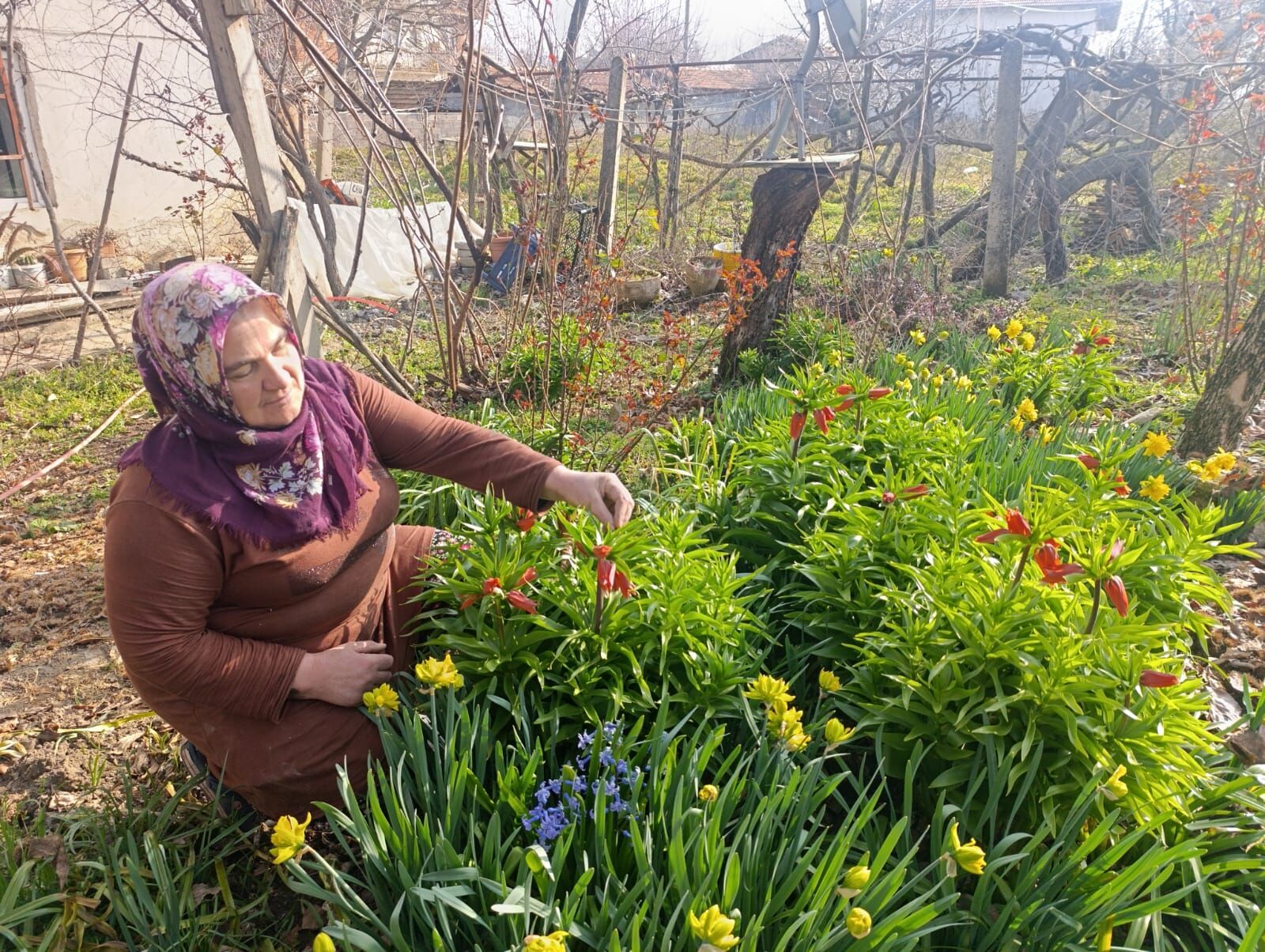 I M G 20260322 W A0043