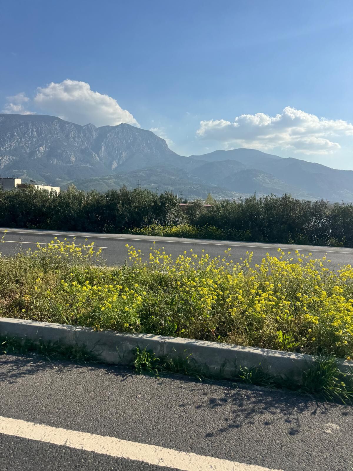 I M G 20260408 W A0014