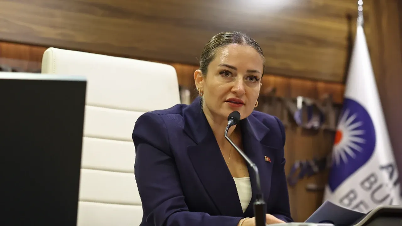 Busra Dirgen Ozdemir 1